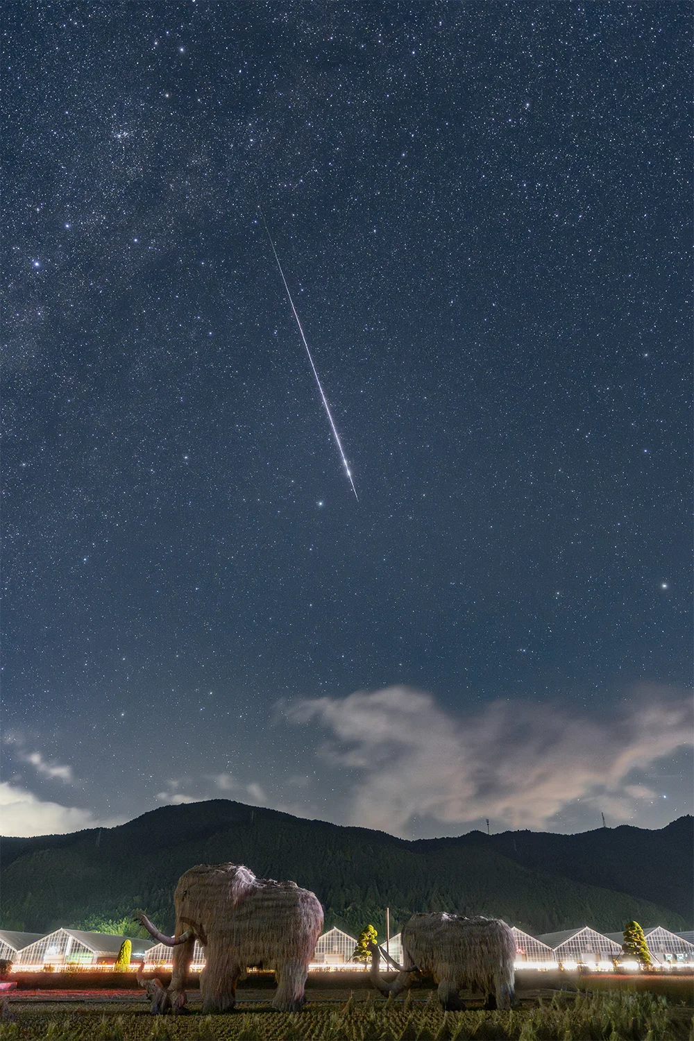 @46kazuki わらマンモスと流れ星(西予市)