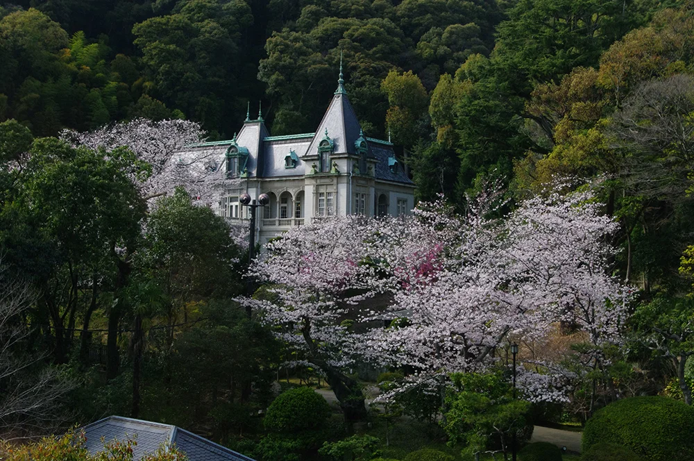 @toshiueno0419 萬翠荘(松山市)