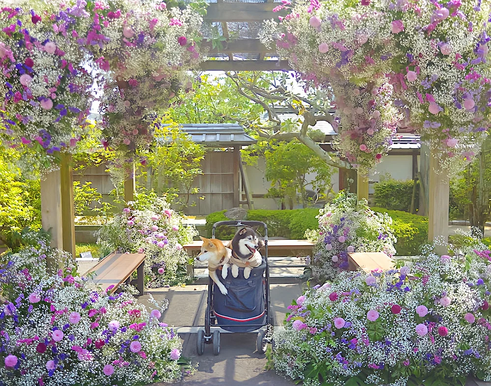 @kubrider 二の丸史跡庭園(松山市)