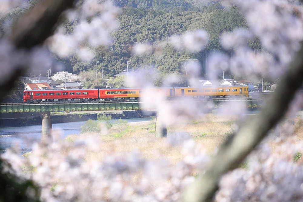 @ahayanabe 肱川を渡る伊予灘ものがたり(大洲市)