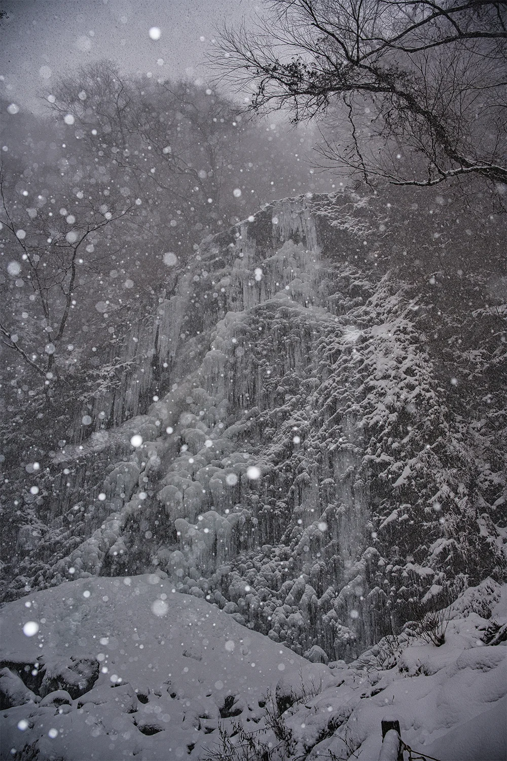 @hiroshi320d 白猪の滝 氷瀑と雪のアート(東温市)