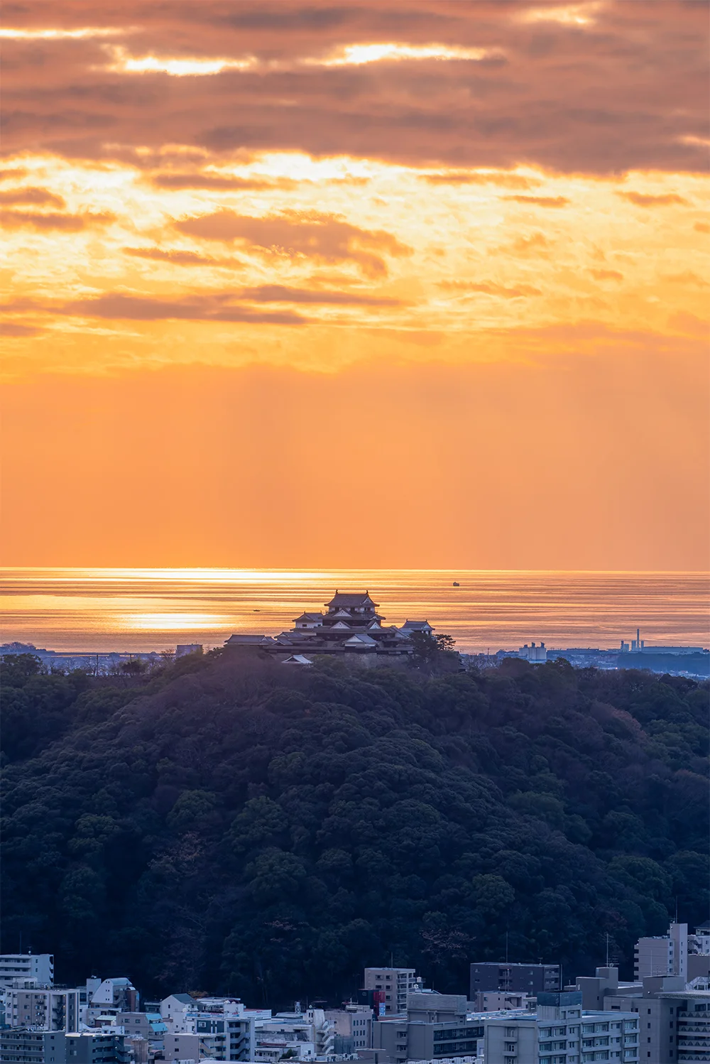 @champerson4 えひめ色の松山城(松山市)