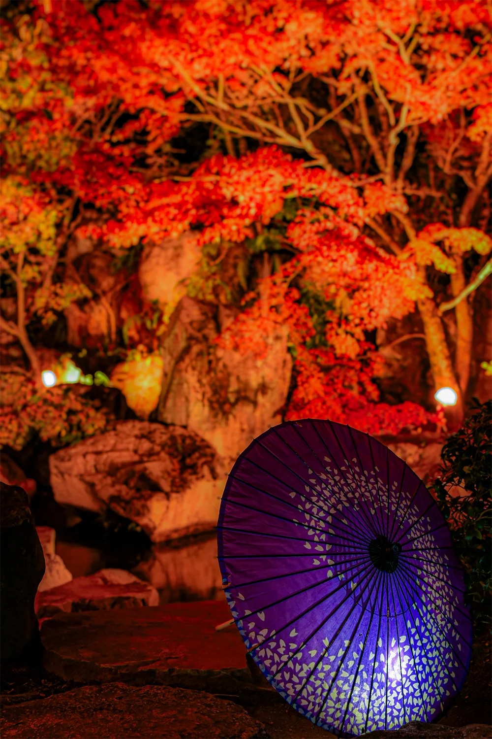 @kazuya_photo.728 松山城二之丸史跡庭園(松山市)