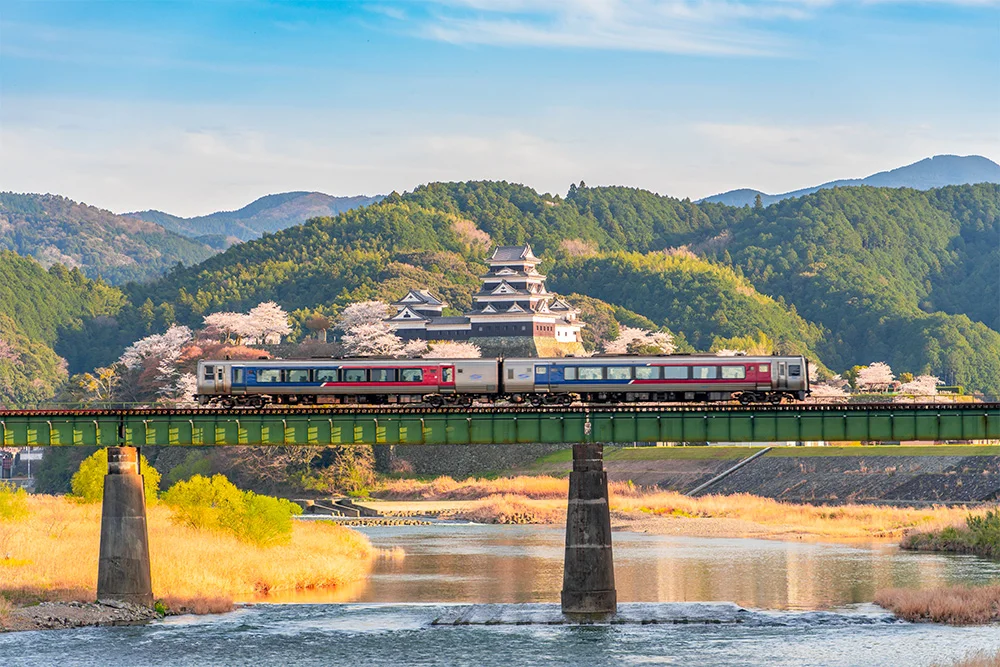 大洲城と桜と鉄道（大洲市）@katurin48
