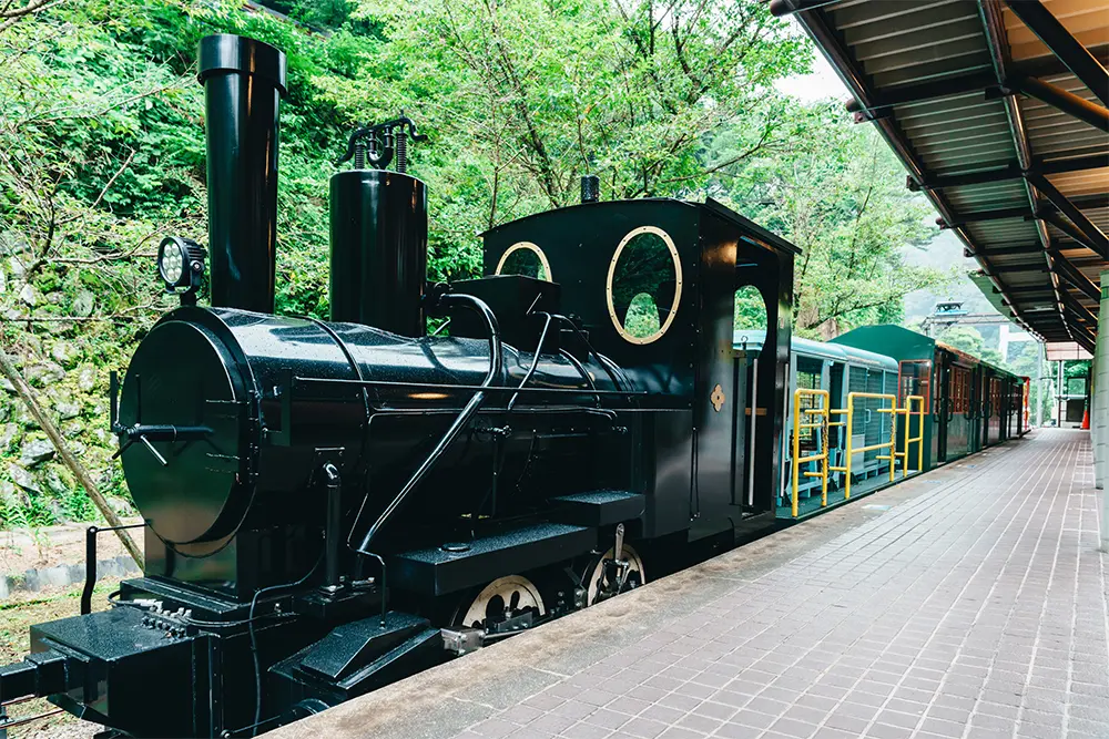 本館の2階から乗れるトロッコ列車